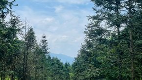 开业买一送一 | 太和仙山,炎帝陵寝,湖南小武功山