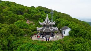 亲子·东山莫厘峰 | 采秋轻徒步,橘子采摘,趣味科普