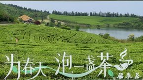 茶香·大嵩岭|穿越福泉茶山,观拥3600亩茶田