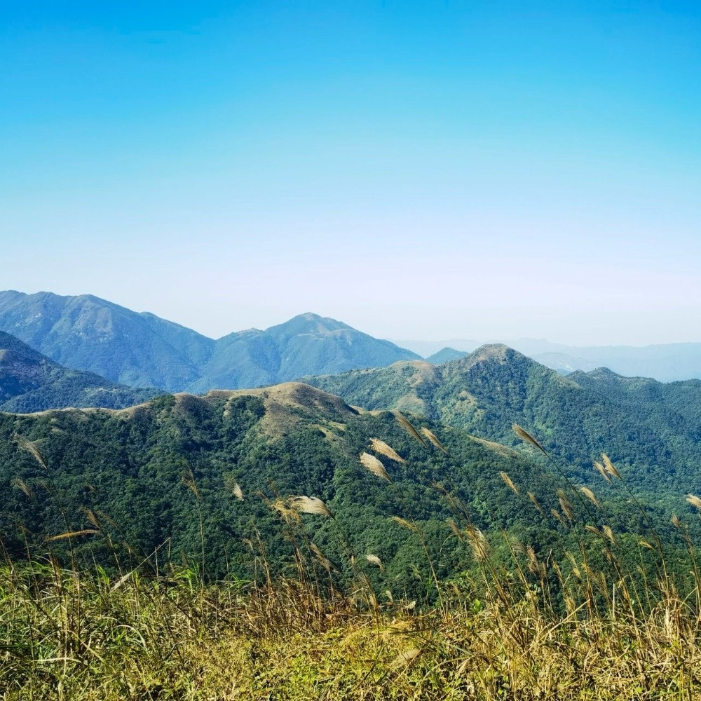 阳东小武功山 | 勇登青顶山，赏高山绵绵大草坡