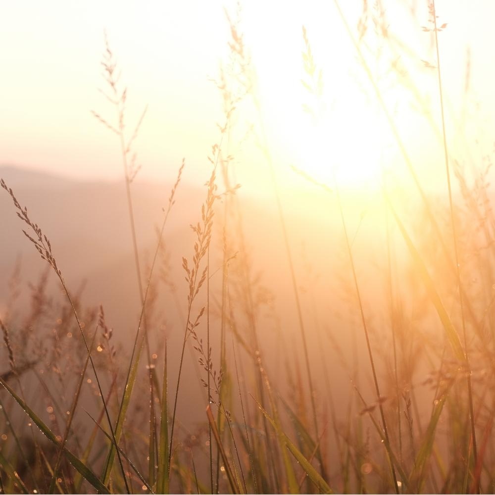 云海之上·太子尖｜徒步十门峡，追太子尖日出云海