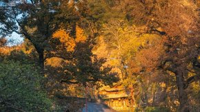秋日江南·大佛寺 | 新昌碳水王国,山水石窟造像
