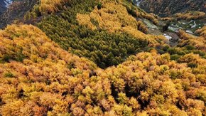 秋色徒步·甘海子│徒步高山牧场