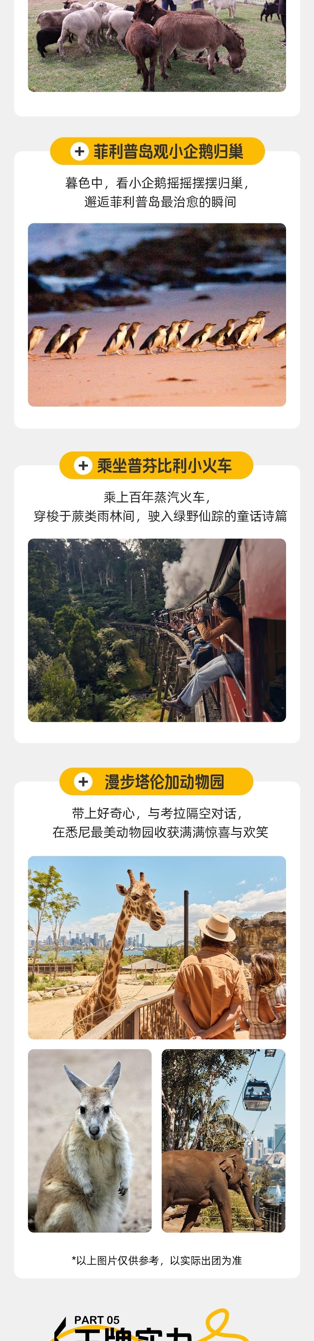 与考拉同眠·澳洲东海岸 | 自然与轻奢的交织融合 - 塔伦加动物园同眠考拉 | 高尔夫挥杆体验 | 乘坐魔法小火车 | 观企鹅归巢 | 动物园夜游 | 沉沦大洋路奇景 | 打卡悉尼歌剧院 | 漫步袋鼠角