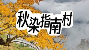 亲子户外·秋染指南村1日 | 华东秋色开篇