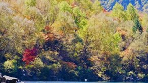 亲子·秋日松坪沟|寻找多巴胺的秋天童话