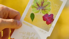 汪汪GO·苏河漫步|探访百年建筑,拾限定秋日浪漫