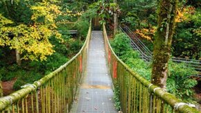 龙苍沟·叠翠溪 | 初秋轻徒得奖牌 赏彩林