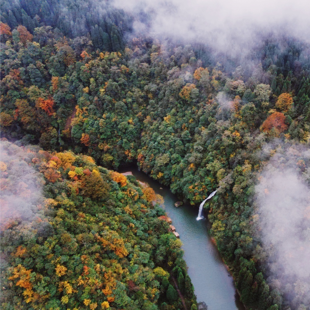龙苍沟·叠翠溪 | 初秋轻徒得奖牌 赏彩林