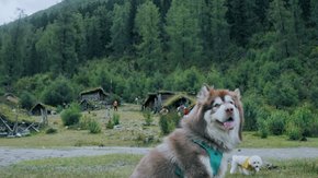 握爪联盟·理小路2日 | 携宠打卡雪山公路