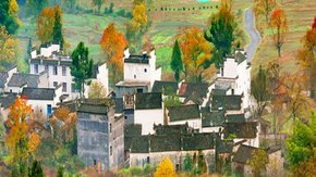 塔川秋色·多彩协里 | 已进入醉美观赏期,1日往返