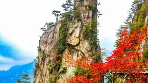 萧山出发 | 大明山红叶节|赏红枫,穿越悬空栈道