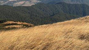 英德五郎嶂 | 勇攀英德第二高峰,赏天上小草原