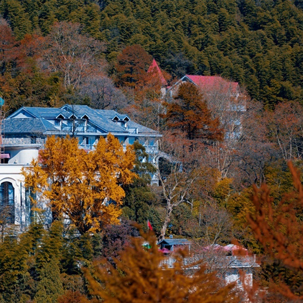 秋日童话·莫干山 | 循迹蒋公，古道红枫，民国古建！